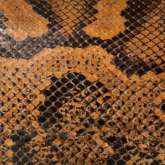 Vintage authentic reptile/snake skin clutch - Picture 2 of 8